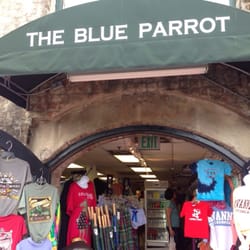 Blue Parrot