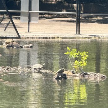 Sunny's - Enjoying seeing the full river across the street. - Breakfast & Brunch Near Me - Boerne, Texas