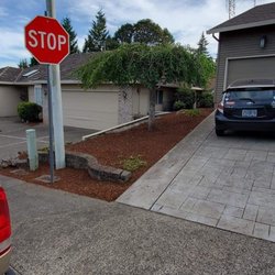 All Phase Landscaping