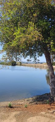 La Lomita Ranch by null