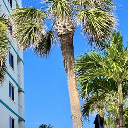 Discovery Beach Resort