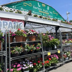 Lake Success Garden Mart