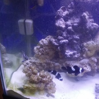 Vets Pets - Aquarium Services Near Me - El Cajon, California Vets Pets - Aquarium Services Near Me - El Cajon, California