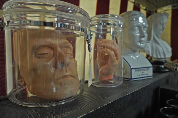 Dapper Cadaver by null
