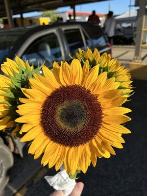 Minneapolis Farmers Market by null