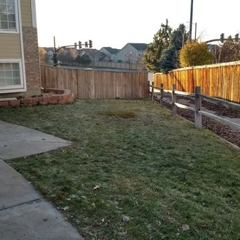 Artistic Tree Care - After - Tree Services Near Me - Denver, Colorado