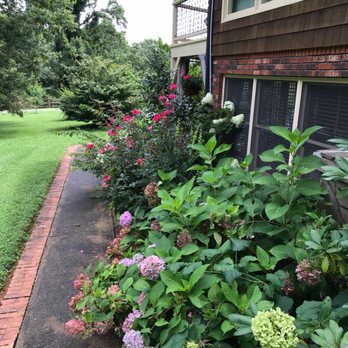 Greenfield Manor Bed & Breakfast - Bed & Breakfast Near Me - Leicester, North Carolina Greenfield Manor Bed & Breakfast - Bed & Breakfast Near Me - Leicester, North Carolina