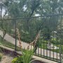 Photo of T & T Ornamental Fence