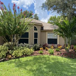 Our front yard looks fantastic thanks to Tampa Landscaping Solutions. They did honest work and were very professional and reasonably priced. Our front yard looks fantastic thanks to Tampa Landscaping Solutions. They did honest work and were very professional and reasonably priced.