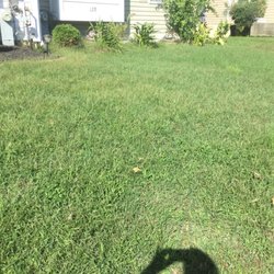 TLC The Lawn Company - One side of the lawn is mine and one side is my neighbor who only mowed all season. Can you tell which is which? Mine's on the right