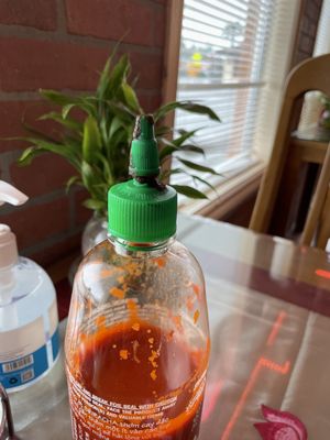 Seattle Lotus Vegetarian Restaurant by null