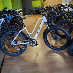 Carolina Electric Bikes - Step through cruiser