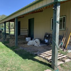 Blue Moon Ranch