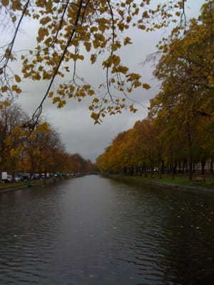 Parc de la Citadelle by null