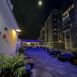 SIGN OF THE WHALE - Updated January 2026 - 440 Photos & 551 Reviews - 6