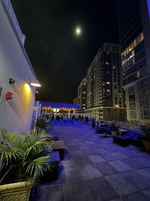 Sign of the Whale by null