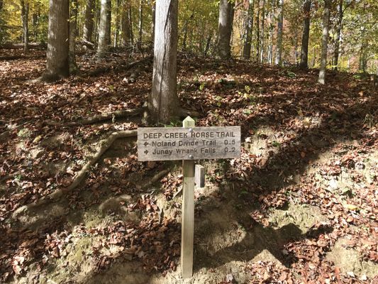 Deep Creek Trail Trailhead by null