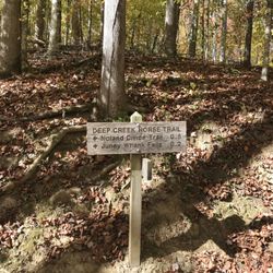 Juney Whank Falls - Trail Sign