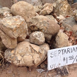 Silver Bear Enterprises - Septarian nodules, busted open & whole