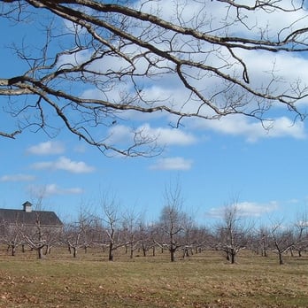 Carver Hill Orchards - Fruits & Veggies Near Me - Stow, Massachusetts