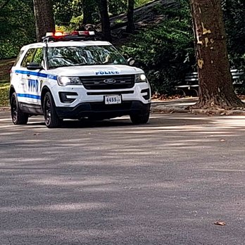 Central Park - Thank you. - Parks Near Me - New York, New York Central Park - Thank you. - Parks Near Me - New York, New York
