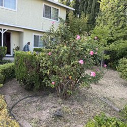 DV Landscape - After
