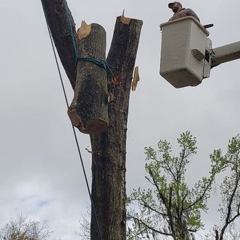 Four Seasons Tree Service - Tree Services Near Me - Jacksonville, Florida Four Seasons Tree Service - Tree Services Near Me - Jacksonville, Florida