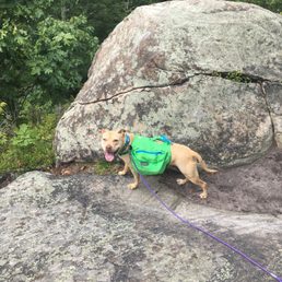 Rocky fun. Tunnel wasn't spectacular to witness, but a new challenge for the pup, so that made it worth it. Rocky fun. Tunnel wasn't spectacular to witness, but a new challenge for the pup, so that made it worth it.
