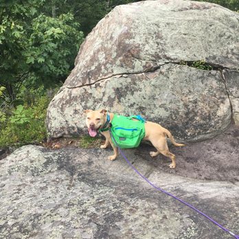Silas Condict Park - Rocky fun. Tunnel wasn't spectacular to witness, but a new challenge for the pup, so that made it worth it. - Hiking Near Me - Kinnelon, New Jersey Silas Condict Park - Rocky fun. Tunnel wasn't spectacular to witness, but a new challenge for the pup, so that made it worth it. - Hiking Near Me - Kinnelon, New Jersey