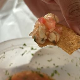 Dirty shrimp Dirty shrimp