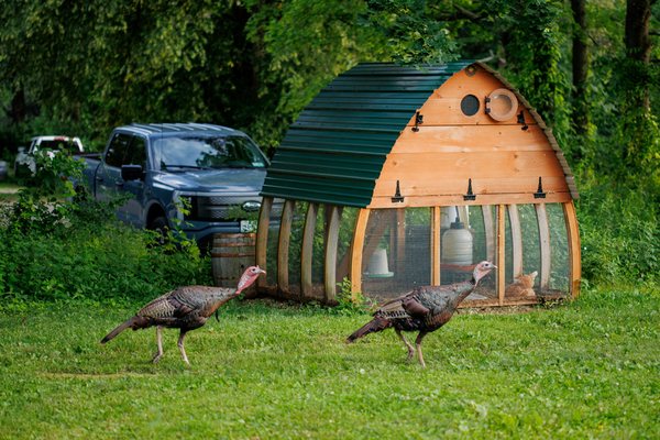 Plan Bee Farm Brewery by null