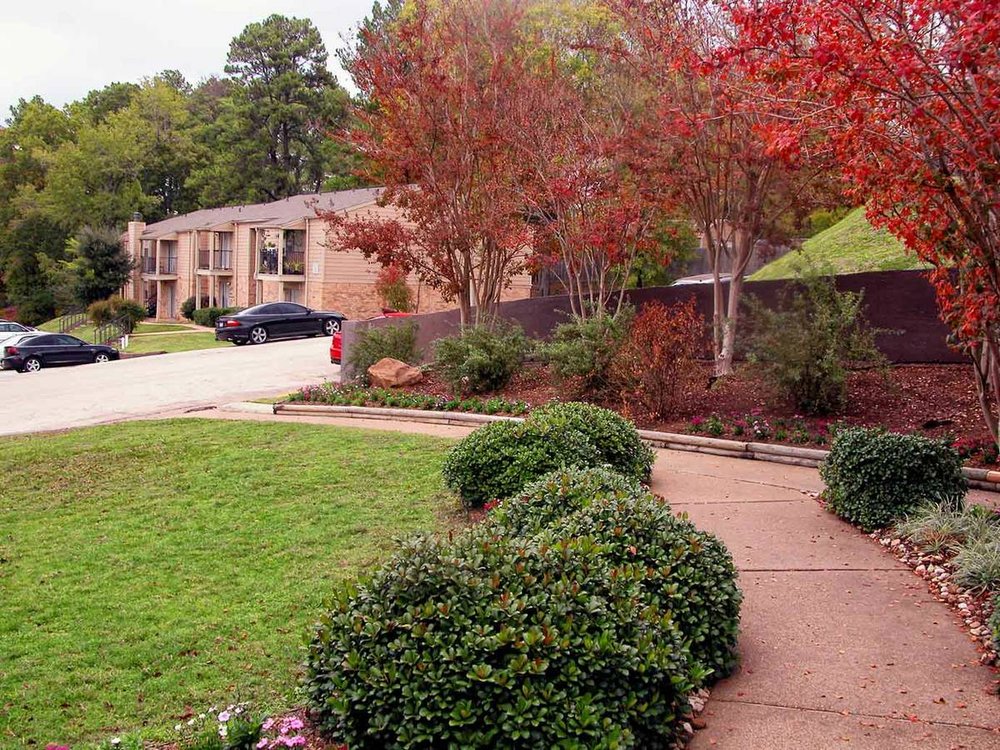 WOODFOREST APARTMENTS Updated September 2024 2614 N University Dr