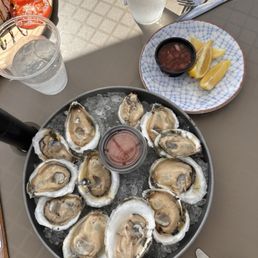 oysters oysters