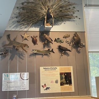 Kenosha Public Museum - Beautifully exhibited wildlife for learning and discovery. - Museums Near Me - Kenosha, Wisconsin Kenosha Public Museum - Beautifully exhibited wildlife for learning and discovery. - Museums Near Me - Kenosha, Wisconsin