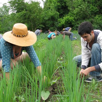 EarthDance Organic Farm School - Community Service/Non-Profit Near Me - Ferguson, Missouri EarthDance Organic Farm School - Community Service/Non-Profit Near Me - Ferguson, Missouri