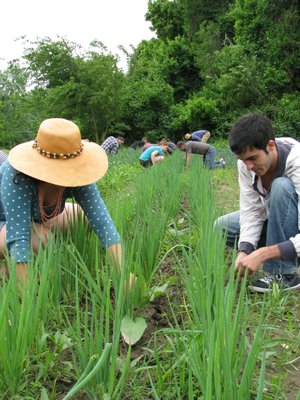 EarthDance Organic Farm School by null