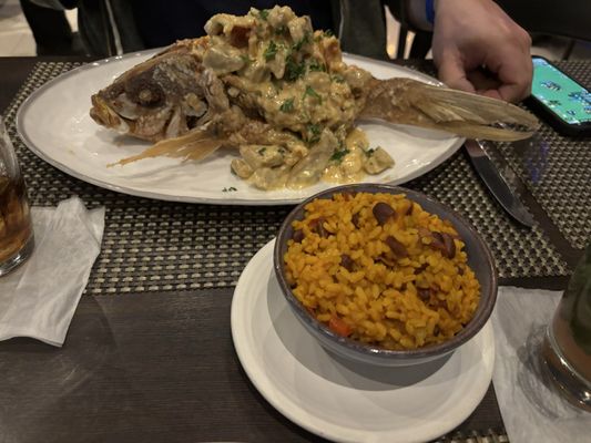 Pasion por el Fogon by null