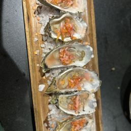 Oysters Oysters