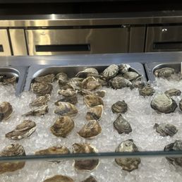 East coast/ west coast oysters East coast/ west coast oysters