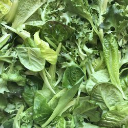 Brick Street Farms - Gourmet Lettuce Mix