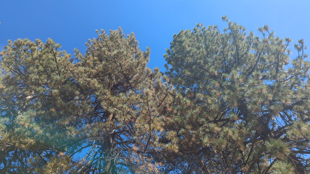 GROUT BAY DAY USE & PICNIC AREA Updated August 2024 Highway 38 At