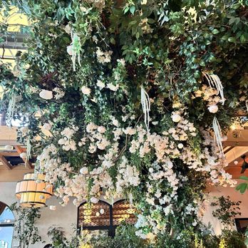 LAVO - Sitting here feels like dining in an arboretum - Italian Near Me - West Hollywood, California LAVO - Sitting here feels like dining in an arboretum - Italian Near Me - West Hollywood, California