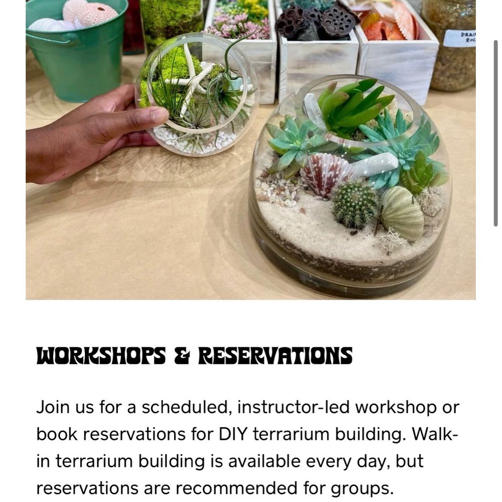 PlantHouse - What the site says. Be clear so potential customers don't plan based on what your site states. Not ok. - Nurseries & Gardening Near Me - Charlotte, North Carolina