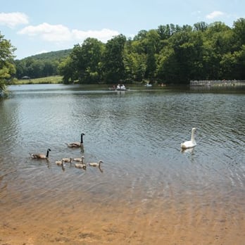 French Creek State Park - Parks Near Me - Elverson, Pennsylvania French Creek State Park - Parks Near Me - Elverson, Pennsylvania