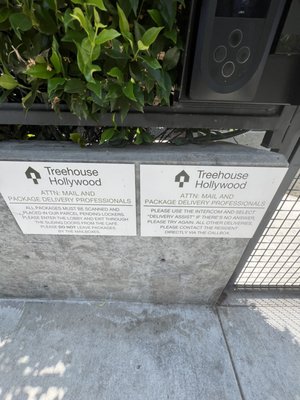 Treehouse Hollywood by null