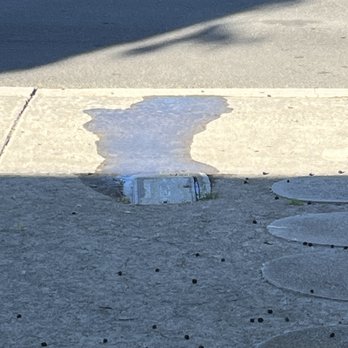 All American Plumbing - Leak!!  Super scared, replied and came out within 24 hours!   Thankful!   Niko F was helpful and explained everything!! - Plumbing Near Me - Poway, California