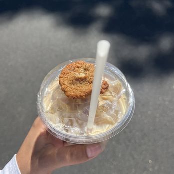 Lady Blume Microbakery - Coffee - Coffee & Tea Near Me - Cotati, California Lady Blume Microbakery - Coffee - Coffee & Tea Near Me - Cotati, California