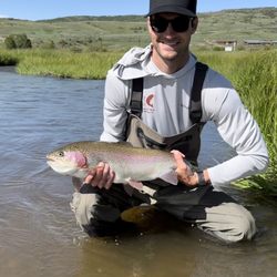 Steamboat Flyfisher - 24" rainbow trout