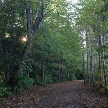 Oak Grove Lake Park - Parks Near Me - Chesapeake, Virginia Oak Grove Lake Park - Parks Near Me - Chesapeake, Virginia