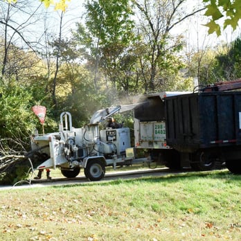 Ping's Tree Service - Just one of our many crews in action. Call us if you need some service today at 317-298-8482. - Tree Services Near Me - Indianapolis, Indiana Ping's Tree Service - Just one of our many crews in action. Call us if you need some service today at 317-298-8482. - Tree Services Near Me - Indianapolis, Indiana